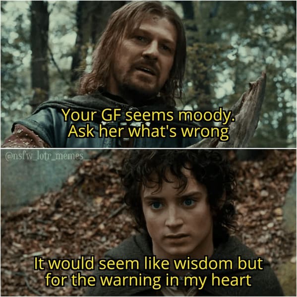 Laugh Out Loud With These 25 Lord Of The Rings Memes (July 21, 2023) - Jarastyle