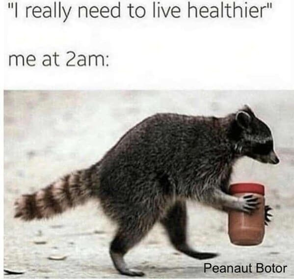 35+ Funny And Relatable Animal Memes To Carry You Through The Rest Of This Week (July 19, 2023) - Jarastyle