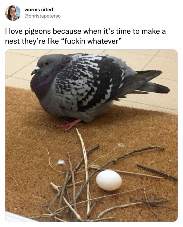 40 Random Funny And Sometimes Inappropriate Memes With A Little Bit Of ...