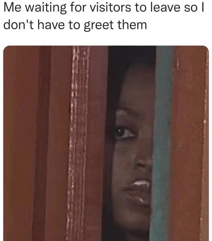 40 Relatable Introvert Memes For Loners Who Can't Wait To Turn Down Party Invitations This Weekend (July 27, 2023) - Jarastyle