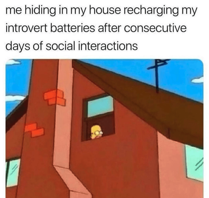 40 Relatable Introvert Memes For Loners Who Can't Wait To Turn Down Party Invitations This Weekend (July 27, 2023) - Jarastyle