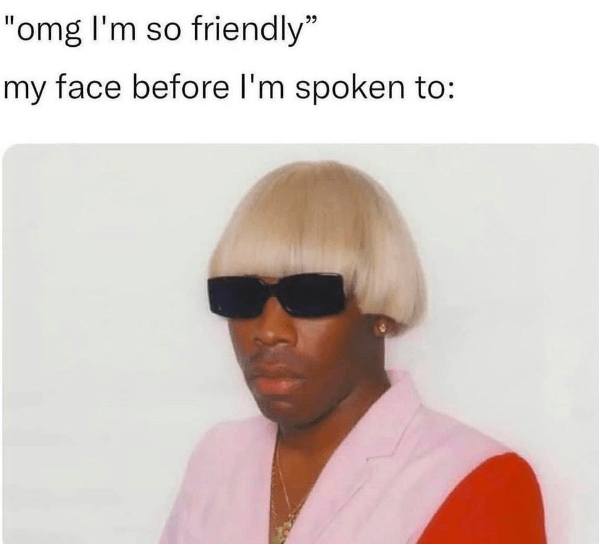 40 Relatable Introvert Memes For Loners Who Can't Wait To Turn Down Party Invitations This Weekend (July 27, 2023) - Jarastyle