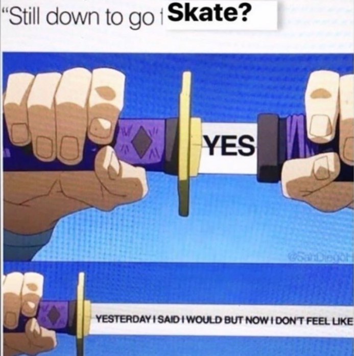 40+ Funny Skateboarding Memes That Totally Grind The Humor Rails - Jarastyle