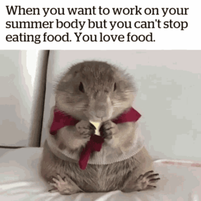 20+ Memes For Anyone Whose Summer Body Is Still In Winter Mode