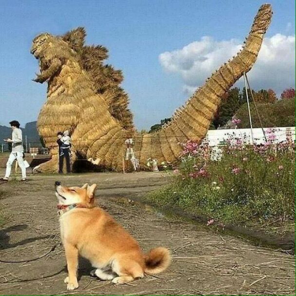 Uncommonpics 30 Unusual Images That Aren't Really Cursed But They're Not Really ...