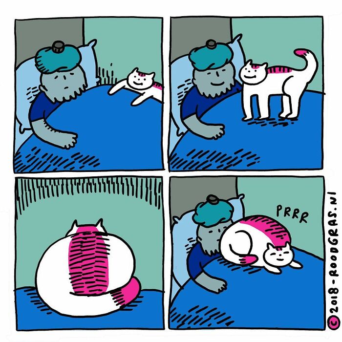 40 Hilarious Wordless Cat Comics Purrfectly Portraying Their Mischievous Antics - Jarastyle