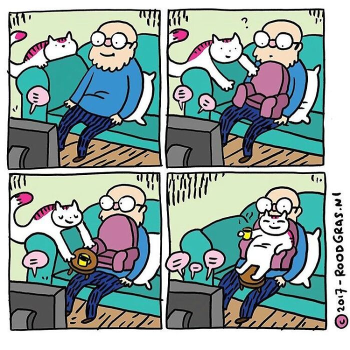 40 Hilarious Wordless Cat Comics Purrfectly Portraying Their Mischievous Antics - Jarastyle