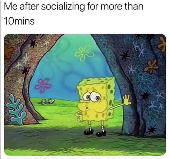 35 Witty Spongebob Introvert Memes For Anti-Socials Who'd Rather Stay In And Watch Spongebob - Jarastyle