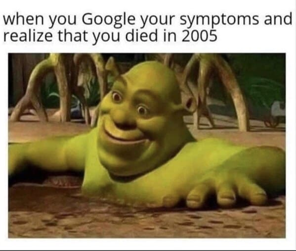 40 Funny Shrek Memes For All The Ogre Lovers Out There - Jarastyle