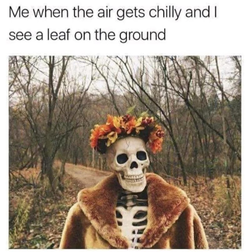 40 Autumn Memes For People Who Are Ready To Skip Summer For Some Pumpkin Spice Anything - Jarastyle