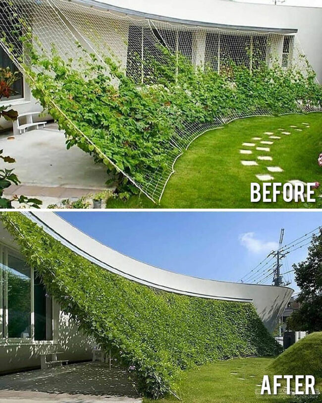 30 Before & After Photos That Show How Good Design Can Really Transform ...