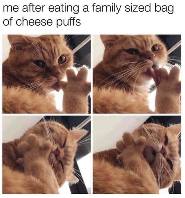 40 Purrrrfect Cat Memes To Make Your Caturday Absolutely Claw-Some