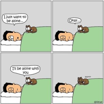 Arrtist's Hilarious Cat Comics Capture The Funny And Relatable Sides Of