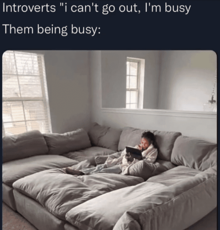 35 Relatable Introvert Memes For Lone Ladies Who Never Want To Be Invited To Your Party - Jarastyle