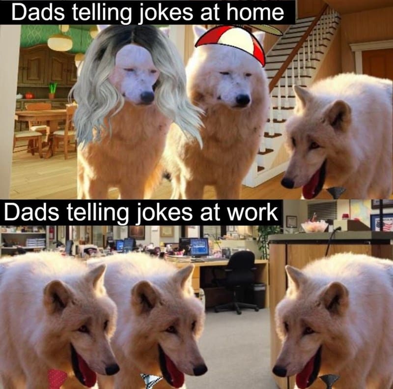 40 Dad Jokes And Puns That Made Us Groan And Laugh At The Same Time This Week (August 6, 2023) - Jarastyle