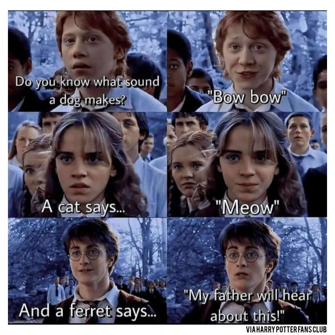 Harry Potter Memes that I told my FATHER about 