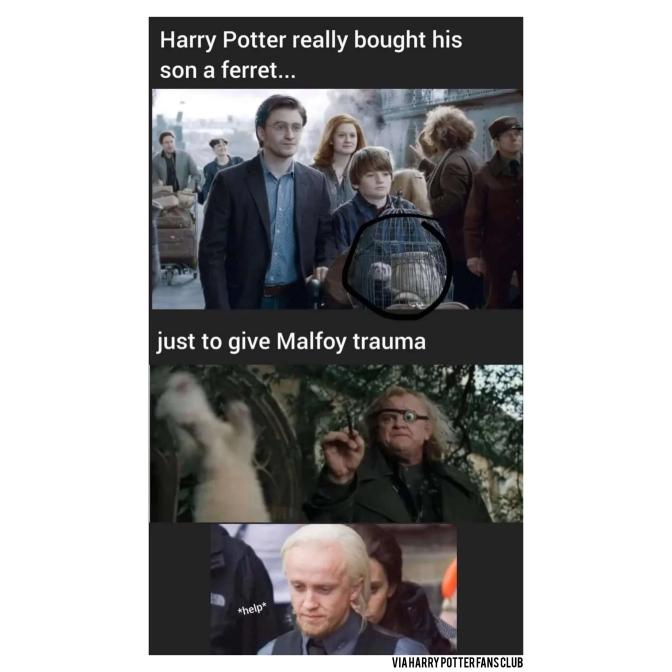 40 Of The Most Magical Harry Potter Memes From This Week (August