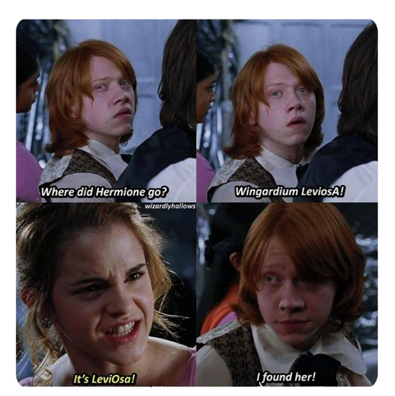 40 Harry Potter Memes To Wingard Your Leviosa
