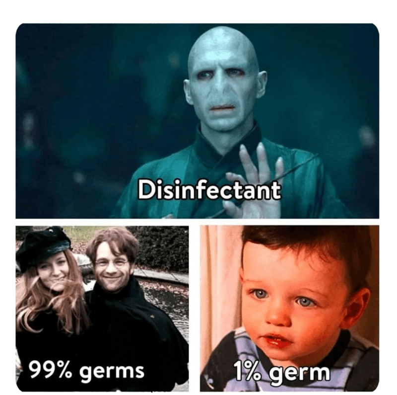 Clean Harry Potter Memes