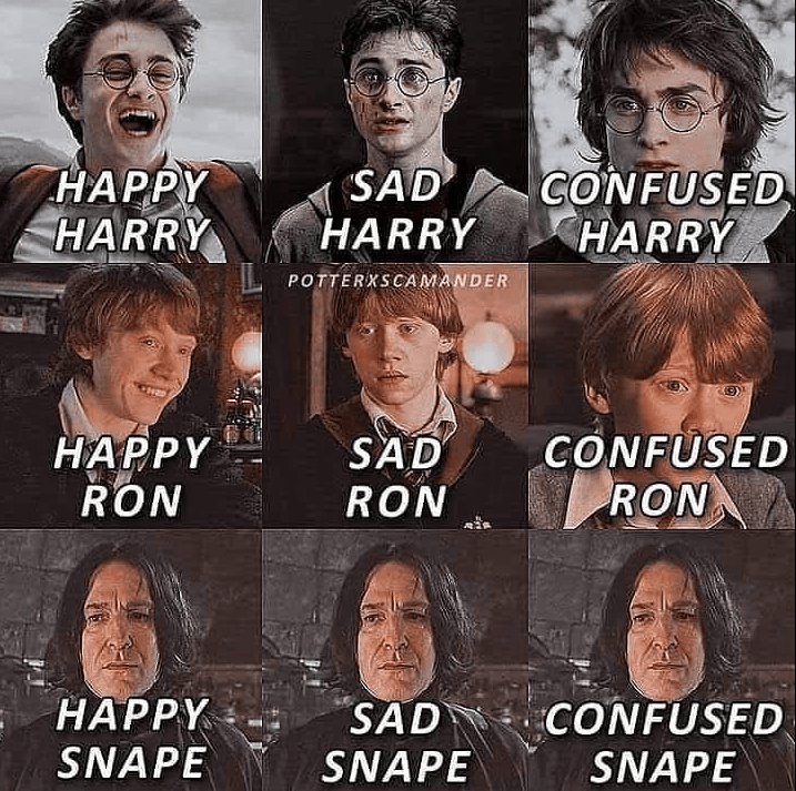 Making Us Laugh This Week  13 Magical Harry Potter Memes