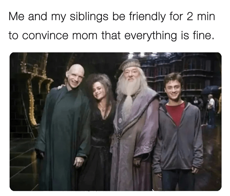 5 minutes of Harry Potter memes 