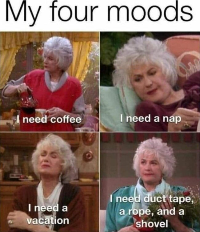 30-funny-golden-girls-memes-and-one-liners-to-thank-you-for-being-a-friend