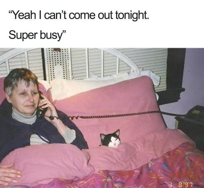 35 Relatable Introvert Memes For Lone Ladies Who Never Want To Be Invited To Your Party - Jarastyle