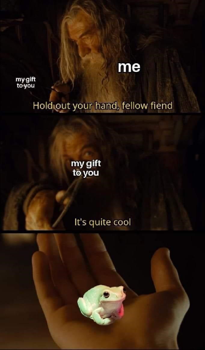 "You Shall Not Pass!" ...Without Checking Out 35 Of The Best Lord Of The Rings Memes This Week - Jarastyle