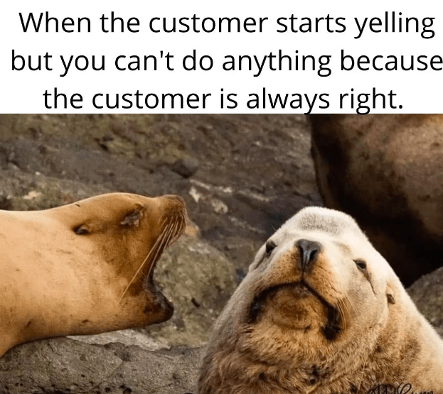 40 Funny Retail Worker Memes For Everyone Who's Done Battle With "The Customer" - Jarastyle