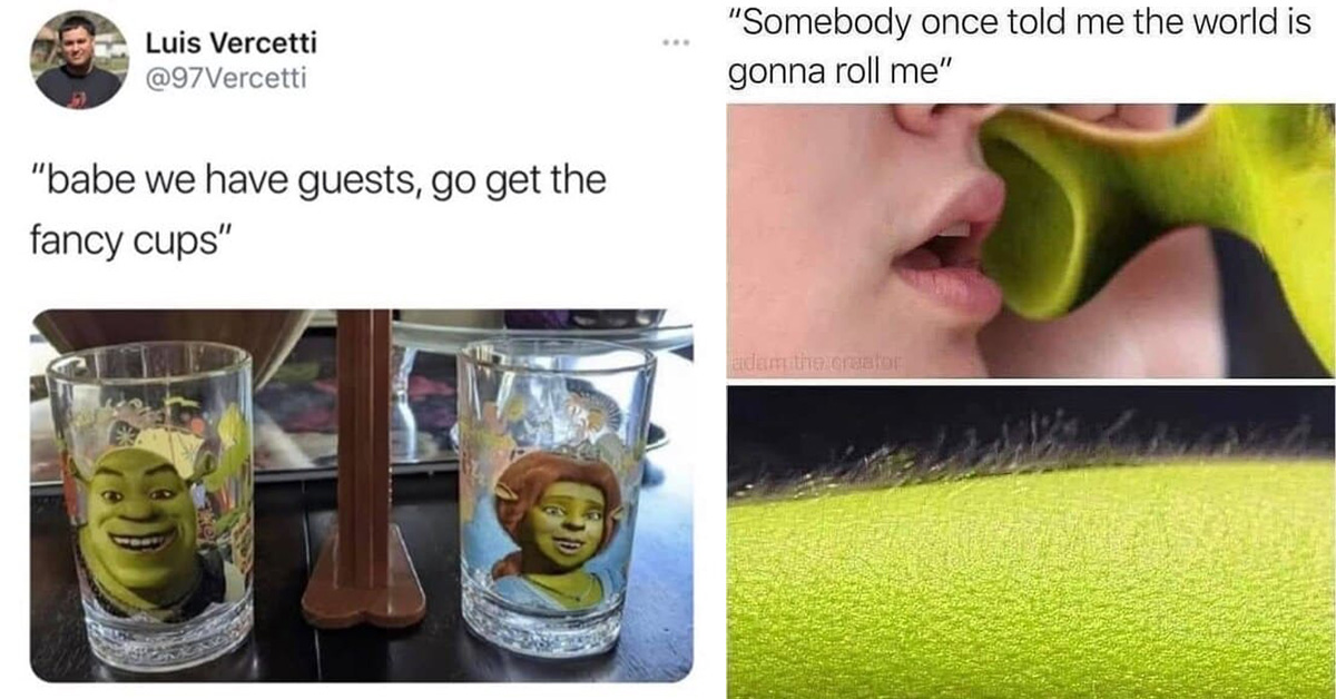 Memes do Shrek on X:  / X