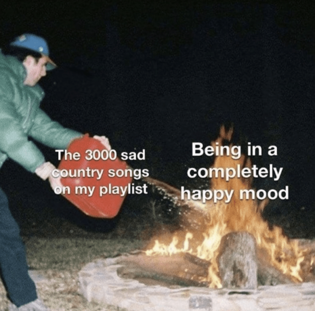 35 Country Music Memes For All Y'all Who Like A Little Twang In Their