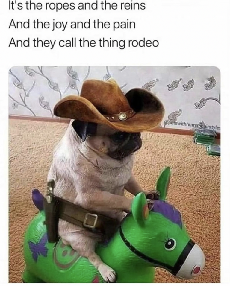 35 Country Music Memes For All Y'all Who Like A Little Twang In Their