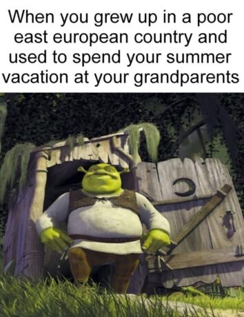 45 Funny Shrek Memes So Hilarious You'll Never Get Ogre Them