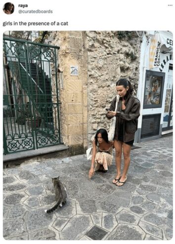 40 Funniest Cat Memes Of The Week So Far (August 24, 2023)