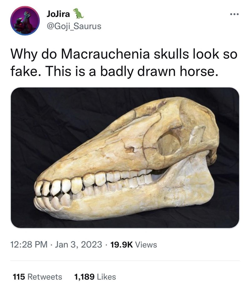 40 Prehistoric Memes For Lovers Of Dinosaurs, Early Hominids, And Everything From A Land Before Time - Jarastyle