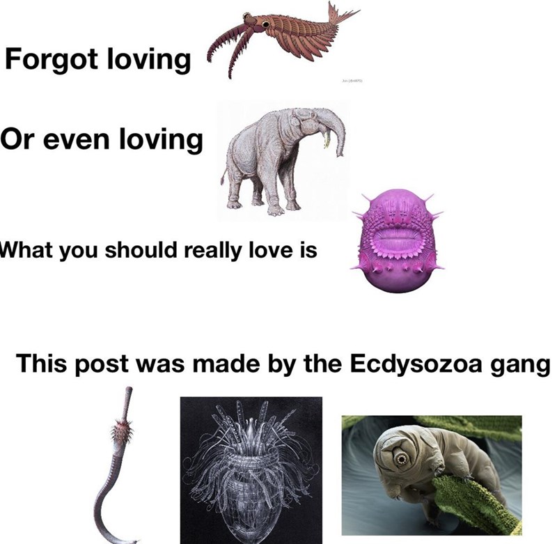 40 Prehistoric Memes For Lovers Of Dinosaurs, Early Hominids, And Everything From A Land Before Time - Jarastyle