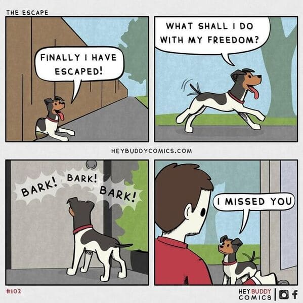 Artist Illustrates 35 Dream Dialogues With His Beloved Dog In Heartwarming Comics - Jarastyle