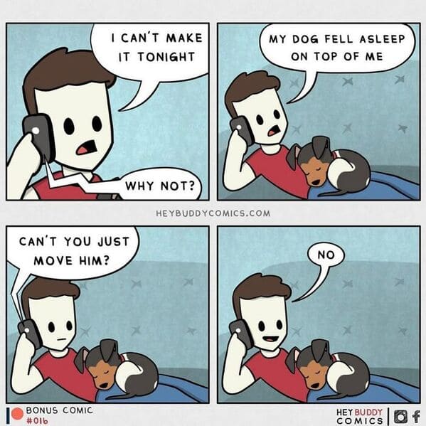 Artist Illustrates 35 Dream Dialogues With His Beloved Dog In Heartwarming Comics - Jarastyle