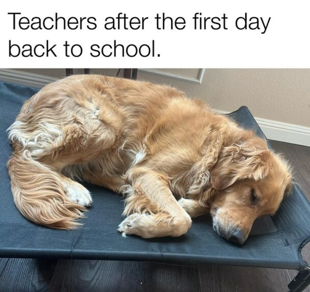 40 Teacher Memes That Might Not Prepare You For The First Day Of School ...