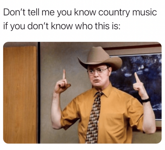 35 Country Music Memes For All Y'all Who Like A Little Twang In Their Music Humor