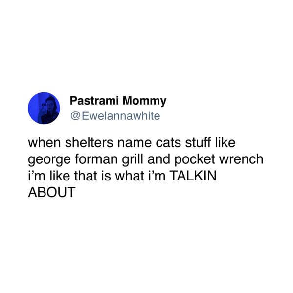 30 Funny Tweets That Had Us Rolling With Laughter This Week - Jarastyle