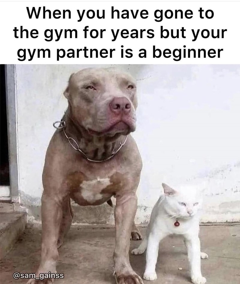 40 Workout Memes For Gym Rats, Fitness Bugs, And All Other Healthy Pests - Jarastyle