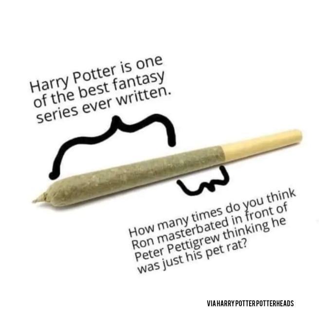 The Funniest Harry Potter Memes For A True Potterhead