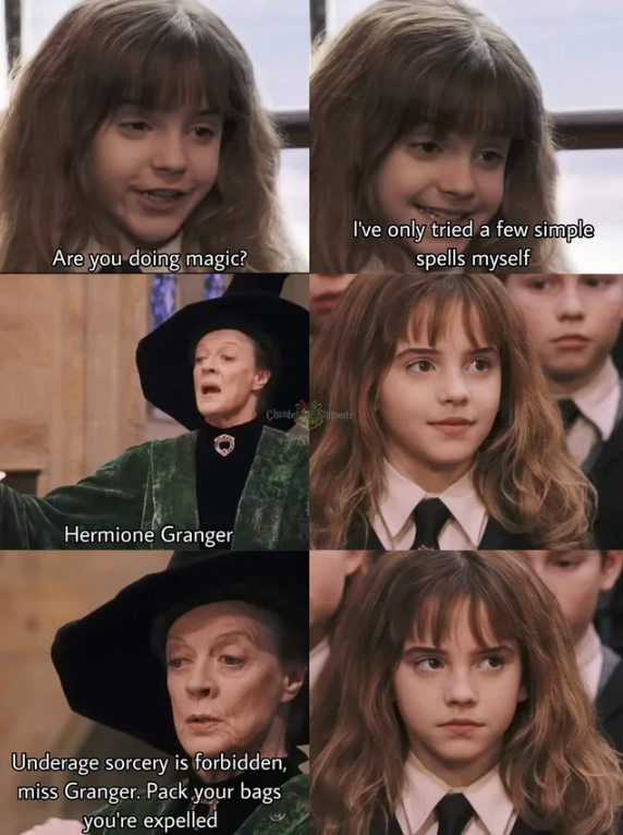 The Funniest Harry Potter Memes of the Week (July 11, 2023) - Memebase -  Funny Memes