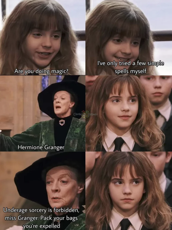 HARRY POTTER MEMES #11 