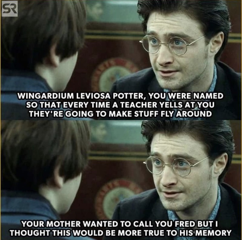 Which are some of your favourite Harry Potter memes that are worth