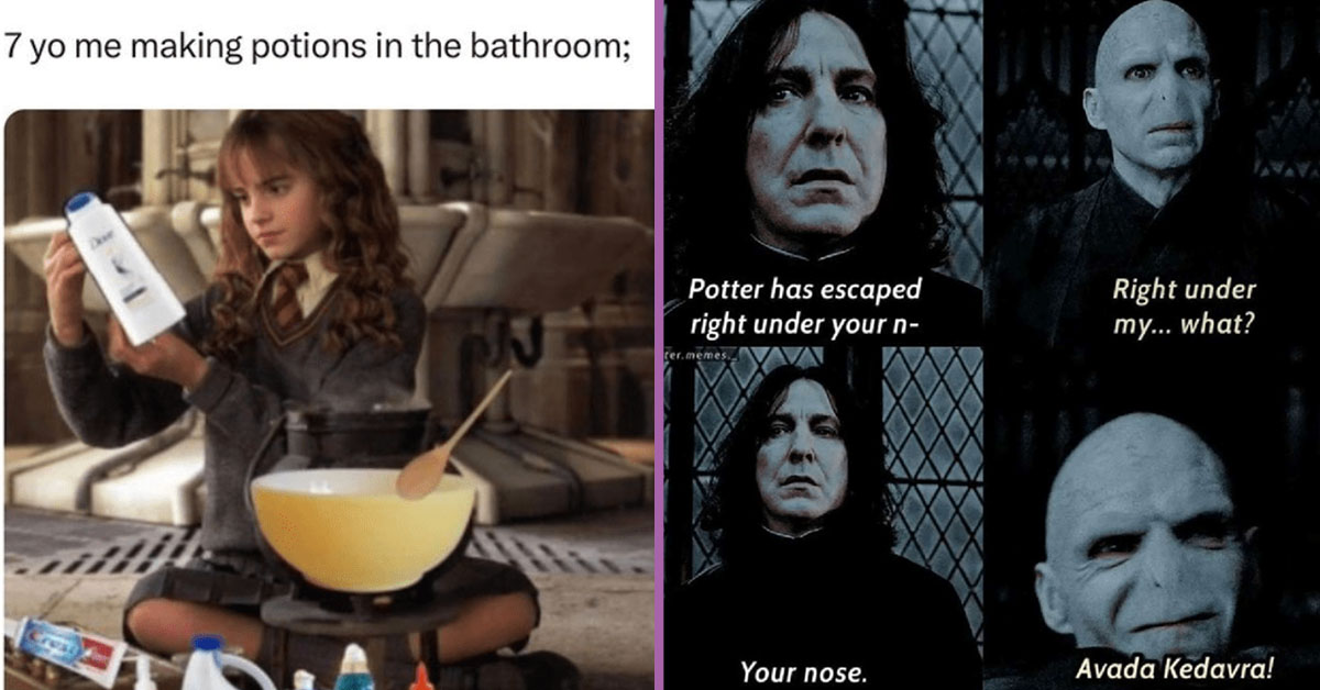 Memes of Harry Potter