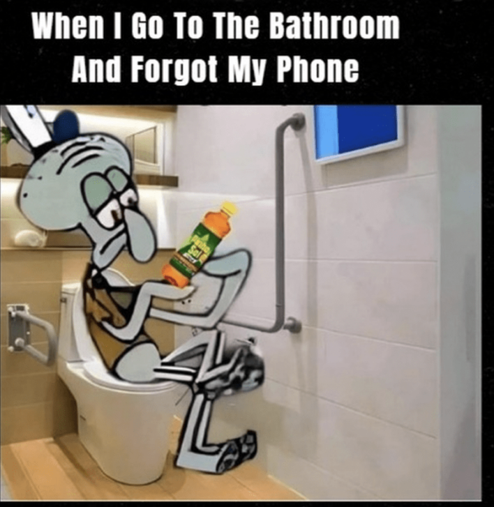 40 Funny Bathroom Memes For Anyone Who Loves Potty Humor