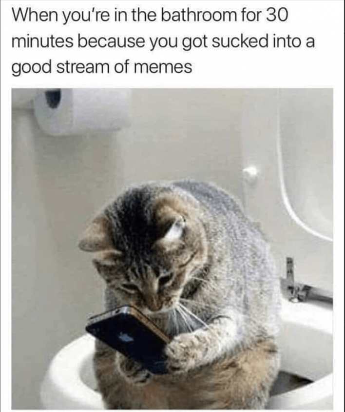 40 Funny Bathroom Memes For Anyone Who Loves Potty Humor