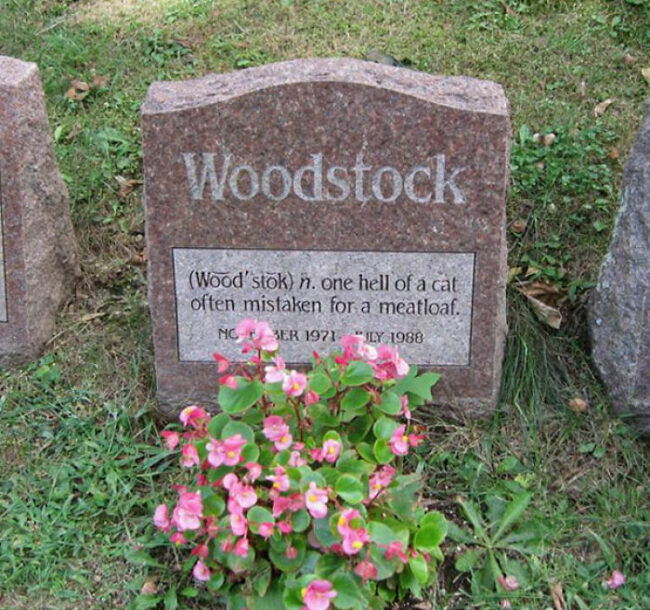 40 Funny Epitaphs From Hilarious People Who Went Out On A Laugh